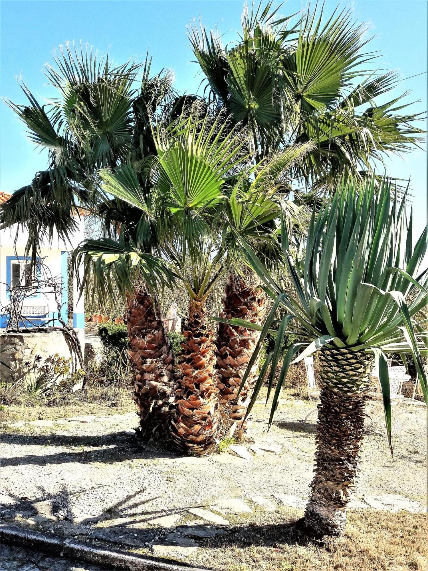 Água Rocha Vila Serra de Mangues Quarto foto